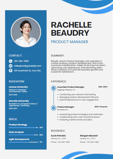 Professional CV Sample 1